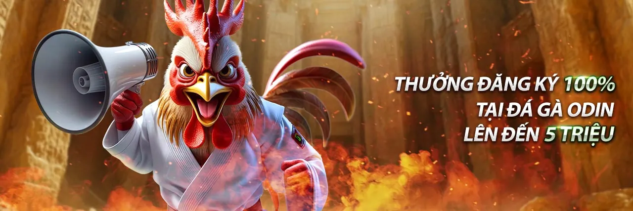 VT999 Trang Chủ Chính Thức - Tin Tức Mới Nhất